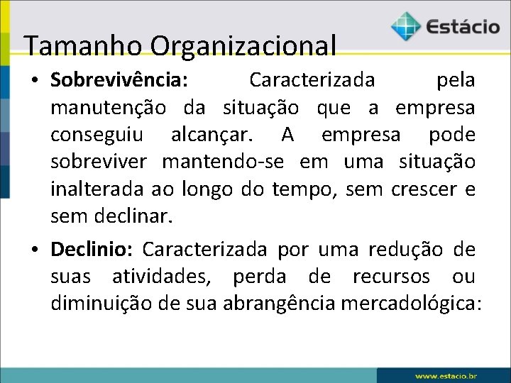 Tamanho Organizacional • Sobrevivência: Caracterizada pela manutenção da situação que a empresa conseguiu alcançar.