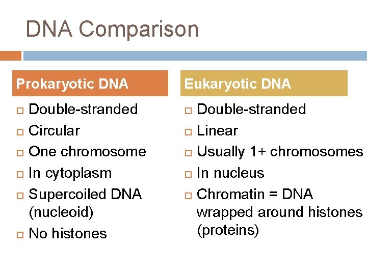 DNA Comparison Prokaryotic DNA Double-stranded Circular One chromosome In cytoplasm Supercoiled DNA (nucleoid) No