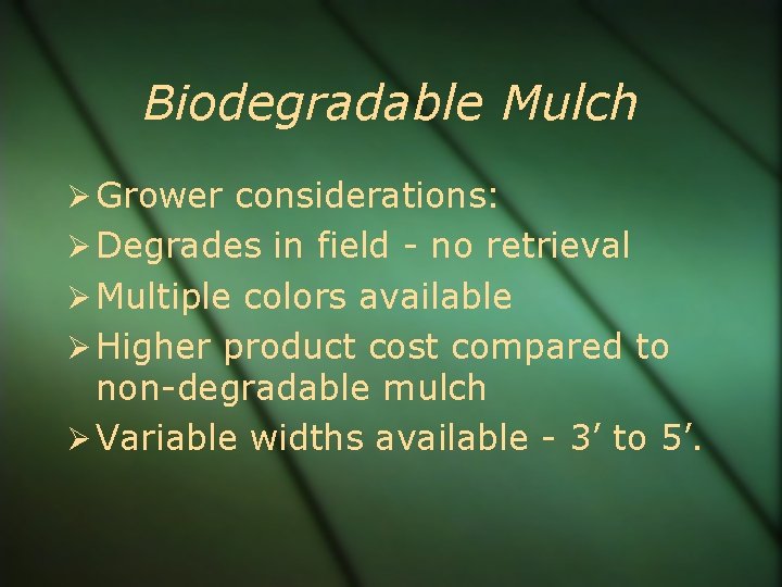 Biodegradable Mulch Grower considerations: Degrades in field - no retrieval Multiple colors available Higher