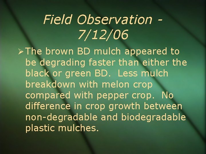 Field Observation 7/12/06 The brown BD mulch appeared to be degrading faster than either