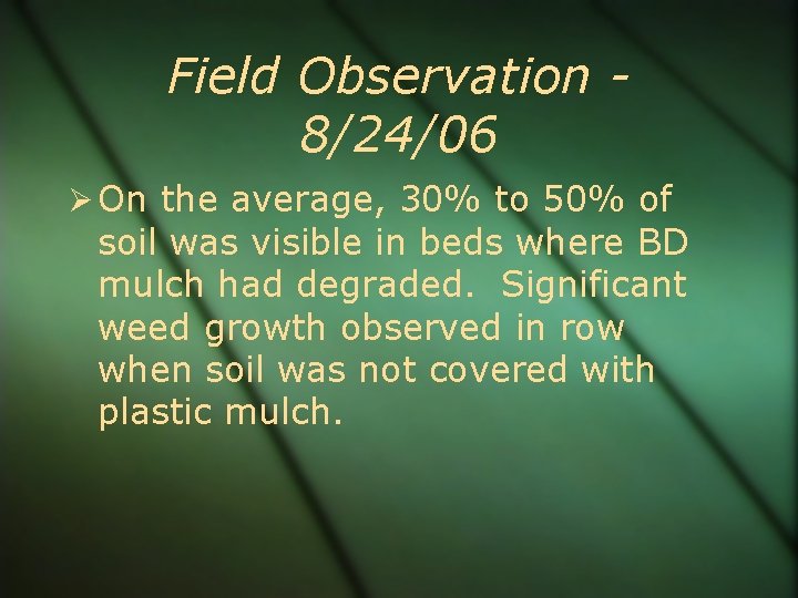 Field Observation 8/24/06 On the average, 30% to 50% of soil was visible in