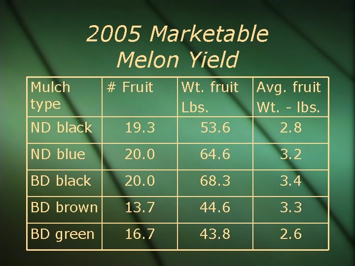 2005 Marketable Melon Yield Mulch type # Fruit Wt. fruit Lbs. 53. 6 Avg.