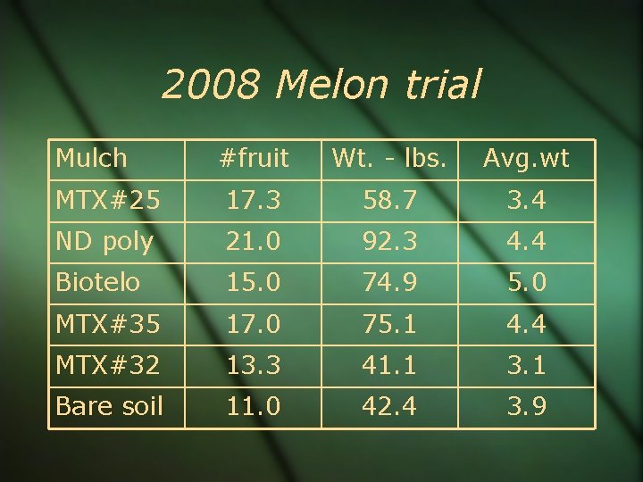 2008 Melon trial Mulch #fruit Wt. - lbs. Avg. wt MTX#25 17. 3 58.
