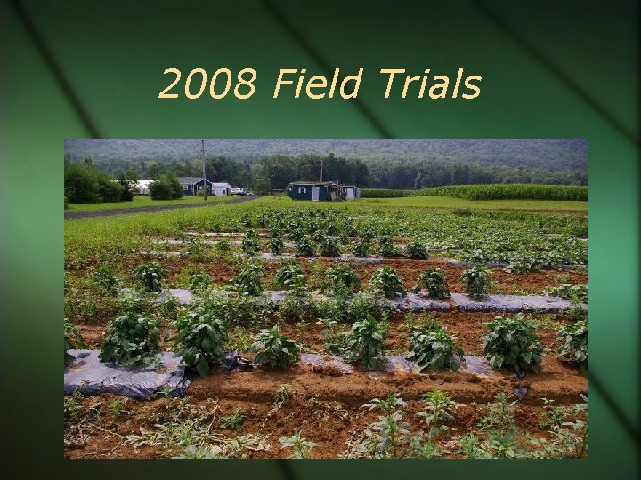 2008 Field Trials 