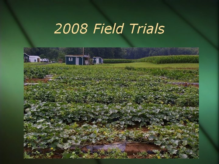 2008 Field Trials 