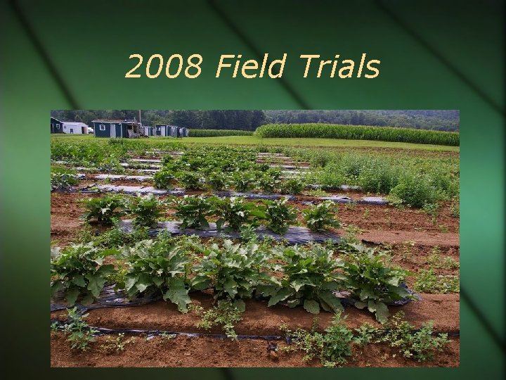 2008 Field Trials 