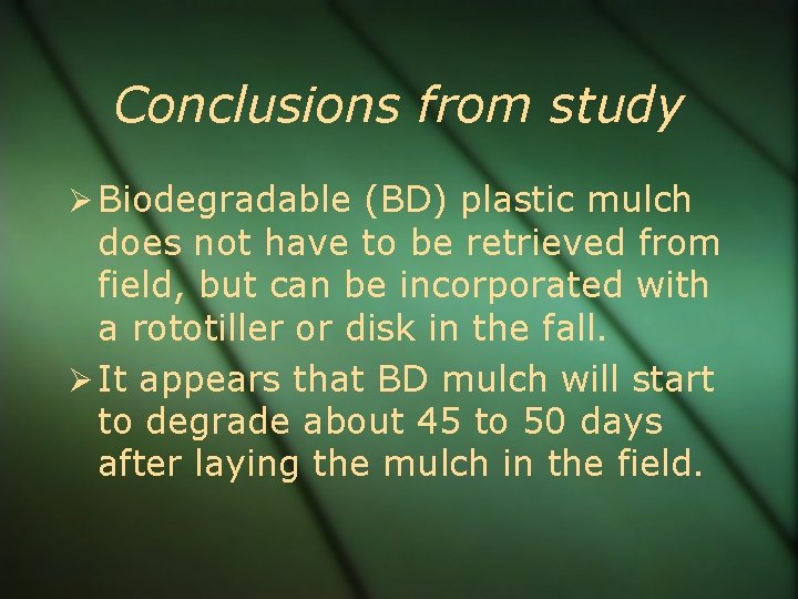 Conclusions from study Biodegradable (BD) plastic mulch does not have to be retrieved from