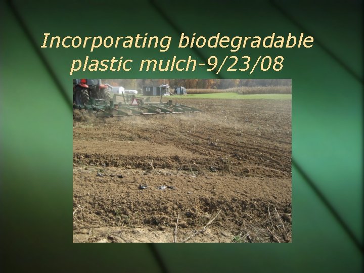 Incorporating biodegradable plastic mulch-9/23/08 