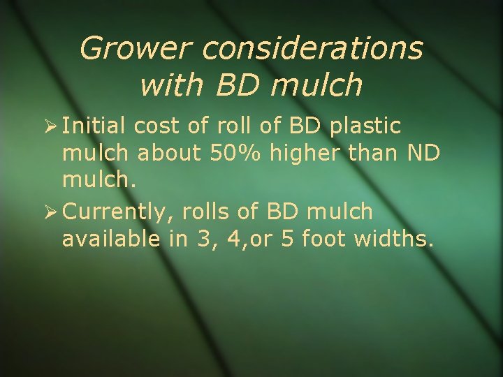 Grower considerations with BD mulch Initial cost of roll of BD plastic mulch about