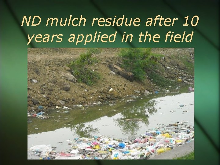 ND mulch residue after 10 years applied in the field 