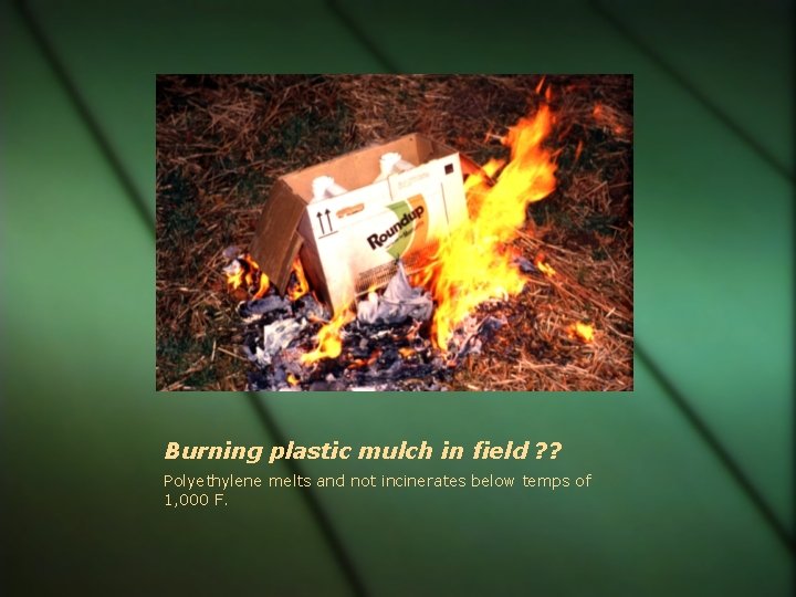 Burning plastic mulch in field ? ? Polyethylene melts and not incinerates below temps