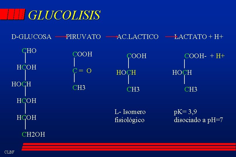 GLUCOLISIS D-GLUCOSA PIRUVATO AC. LACTICO CHO COOH HCOH C= O HOCH CH 3 LACTATO