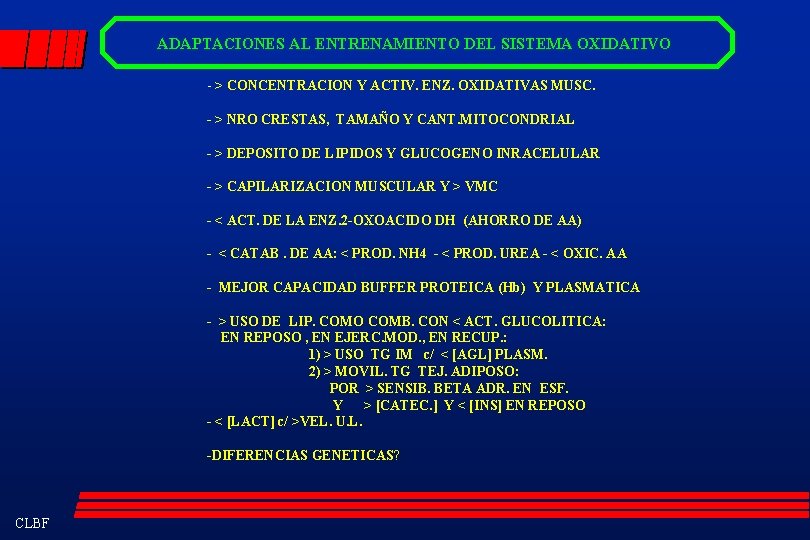 ADAPTACIONES AL ENTRENAMIENTO DEL SISTEMA OXIDATIVO - > CONCENTRACION Y ACTIV. ENZ. OXIDATIVAS MUSC.