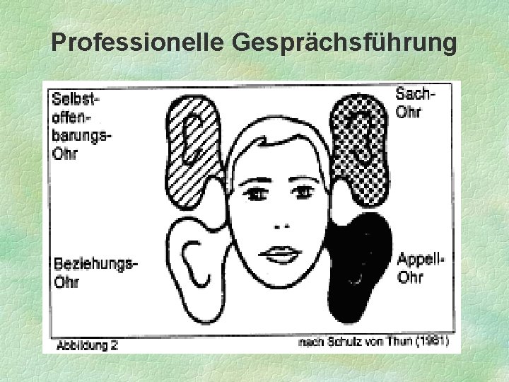 Professionelle Gesprächsführung 