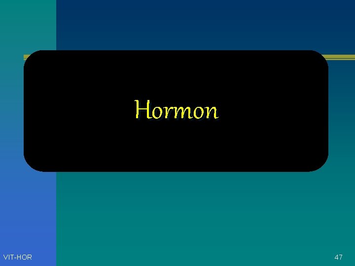 Hormon VIT-HOR 47 