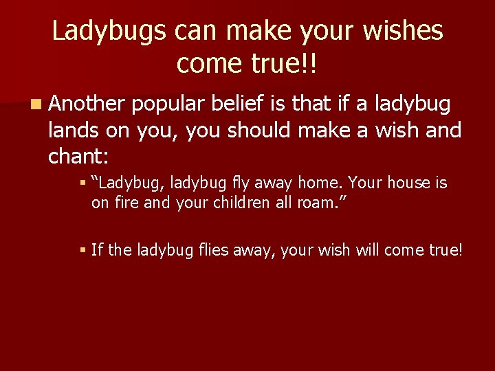 Ladybugs can make your wishes come true!! n Another popular belief is that if