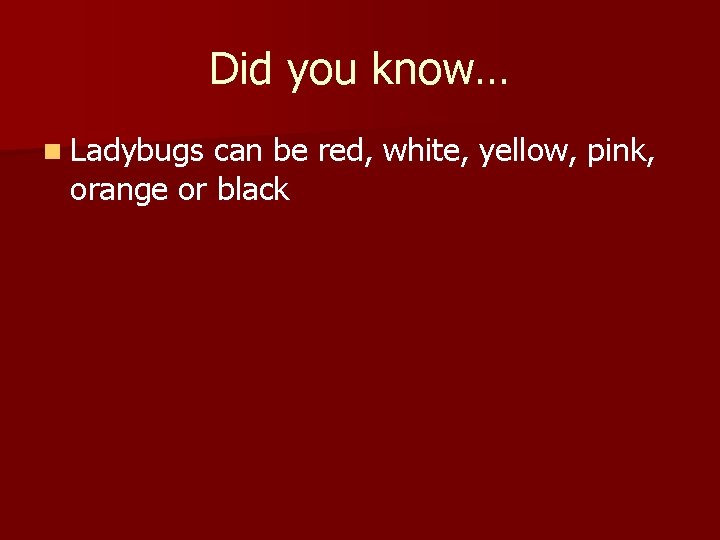 Did you know… n Ladybugs can be red, white, yellow, pink, orange or black