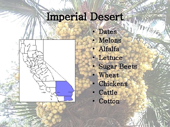 Imperial Desert • • • Dates Melons Alfalfa Lettuce Sugar Beets Wheat Chickens Cattle