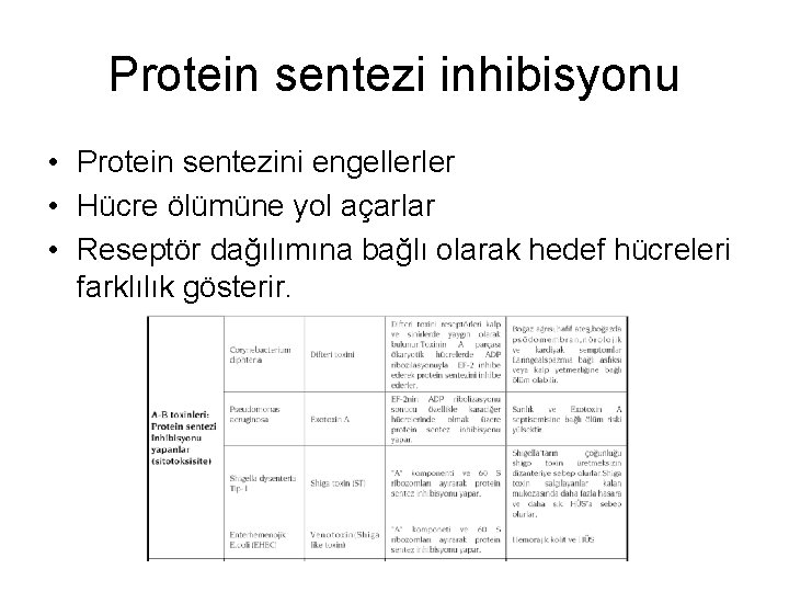 Protein sentezi inhibisyonu • Protein sentezini engellerler • Hücre ölümüne yol açarlar • Reseptör