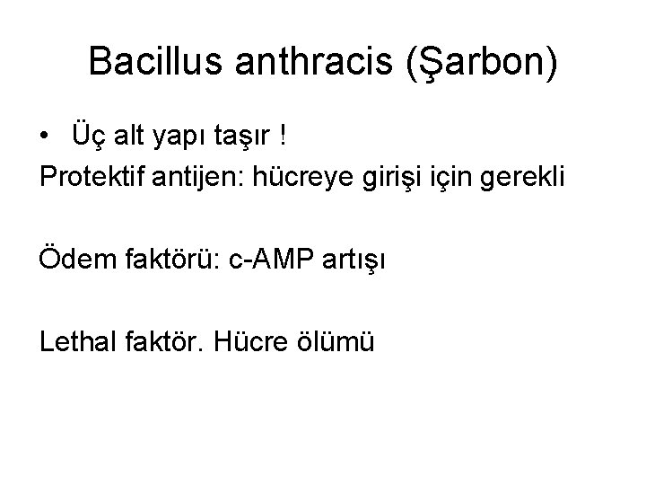 Bacillus anthracis (Şarbon) • Üç alt yapı taşır ! Protektif antijen: hücreye girişi için