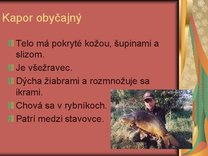 Kapor obyčajný Telo má pokryté kožou, šupinami a slizom. Je všežravec. Dýcha žiabrami a