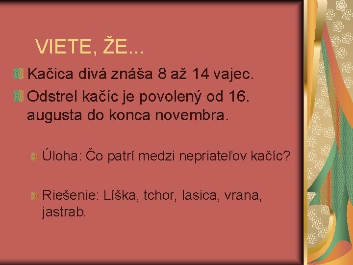 VIETE, ŽE. . . Kačica divá znáša 8 až 14 vajec. Odstrel kačíc je