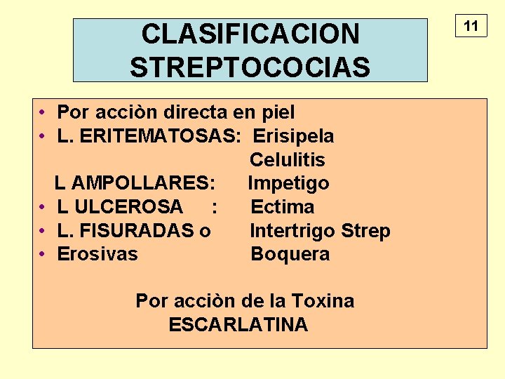 CLASIFICACION STREPTOCOCIAS • Por acciòn directa en piel • L. ERITEMATOSAS: Erisipela Celulitis L