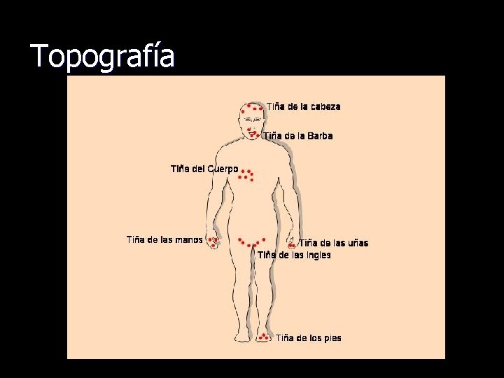 Topografía 