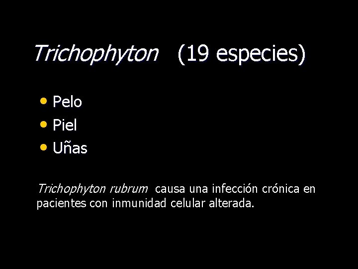 Trichophyton (19 especies) • Pelo • Piel • Uñas Trichophyton rubrum causa una infección