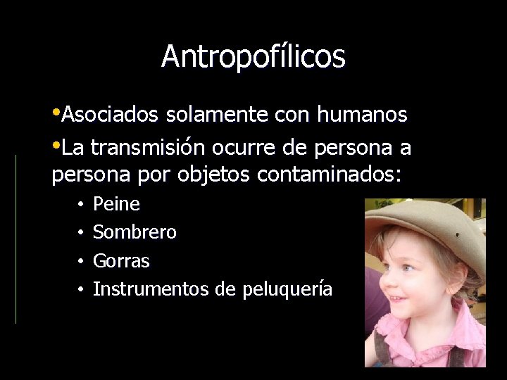 Antropofílicos • Asociados solamente con humanos • La transmisión ocurre de persona a persona