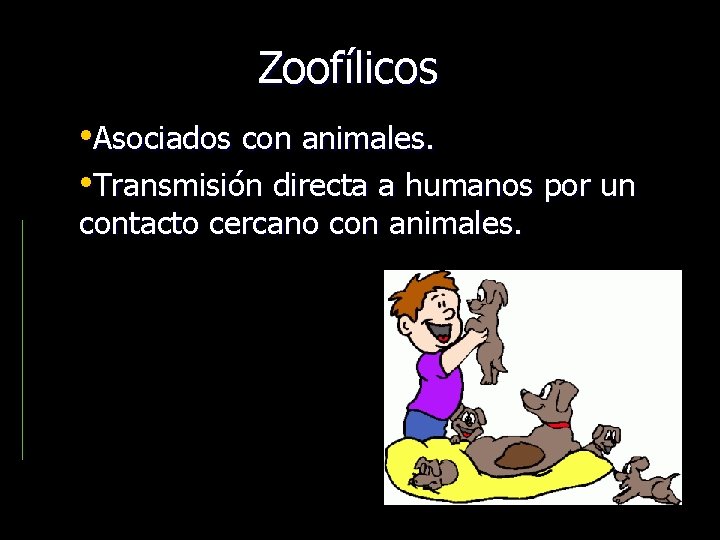 Zoofílicos • Asociados con animales. • Transmisión directa a humanos por un contacto cercano