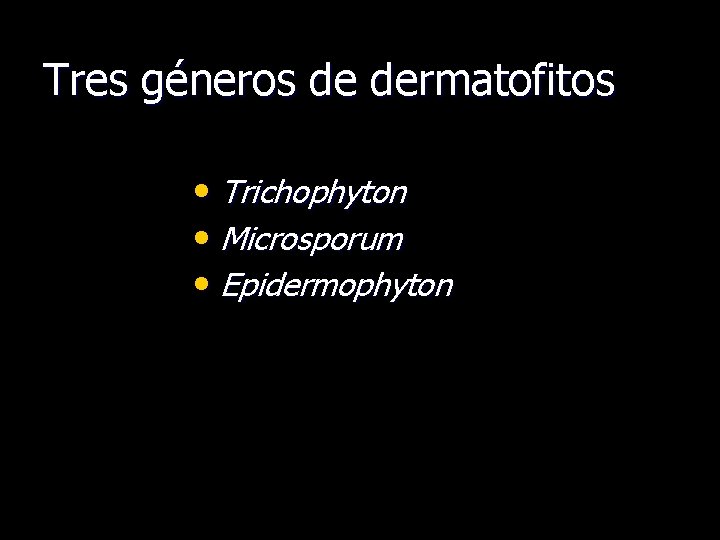 Tres géneros de dermatofitos • Trichophyton • Microsporum • Epidermophyton 