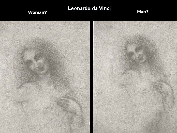 Woman? Leonardo da Vinci Man? 