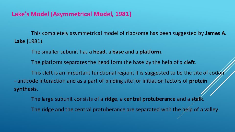 Lake's Model (Asymmetrical Model, 1981) This completely asymmetrical model of ribosome has been suggested