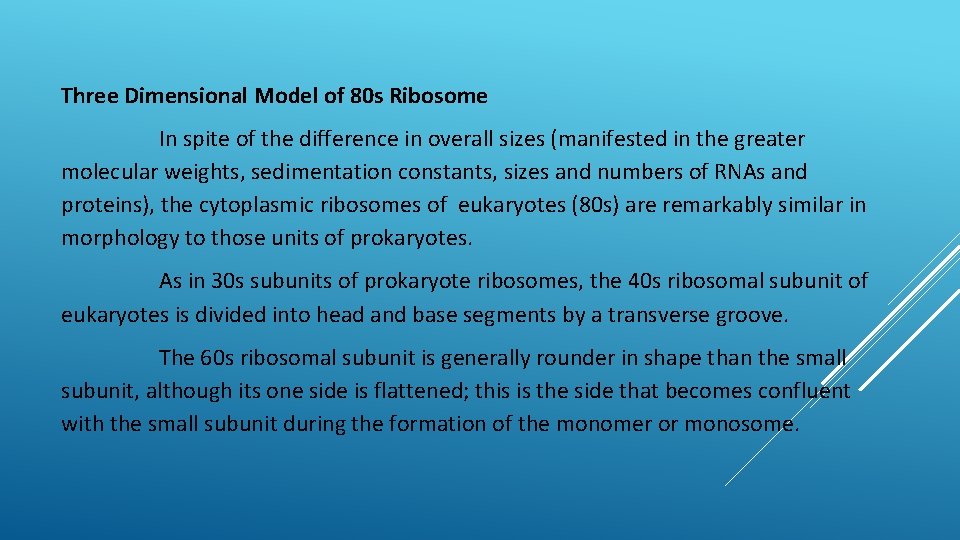 Three Dimensional Model of 80 s Ribosome In spite of the difference in overall