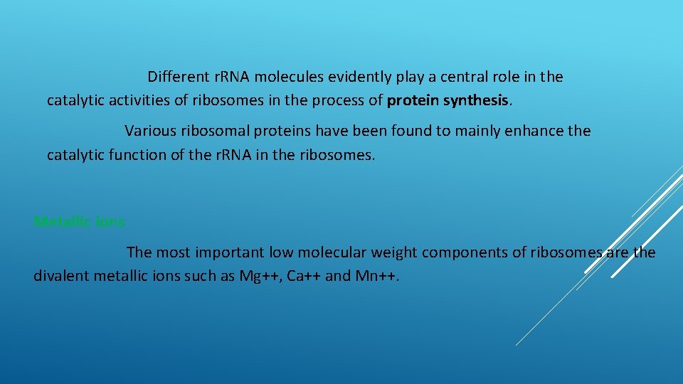 Different r. RNA molecules evidently play a central role in the catalytic activities of