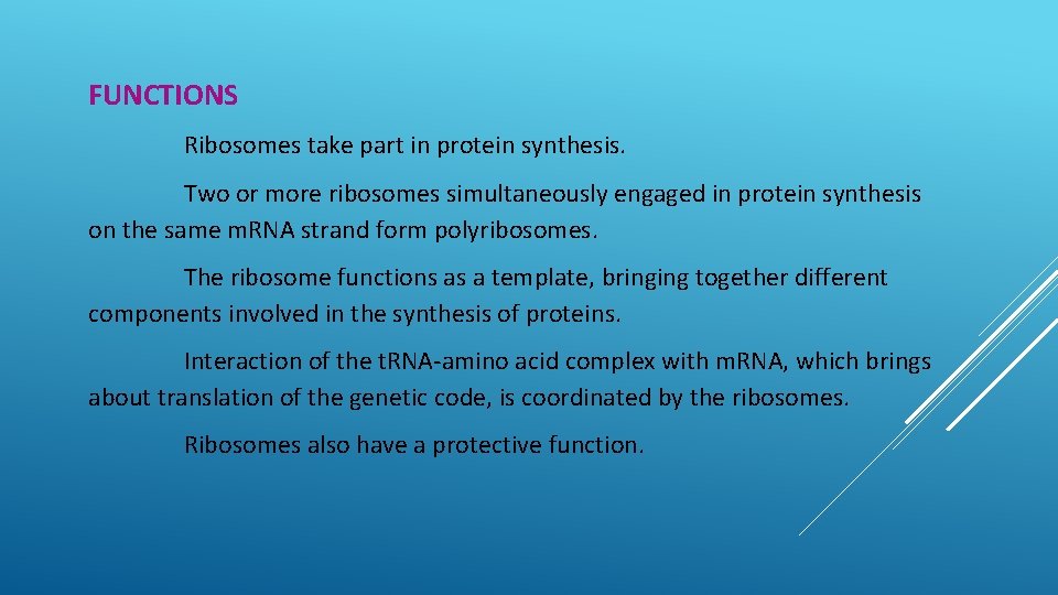 FUNCTIONS Ribosomes take part in protein synthesis. Two or more ribosomes simultaneously engaged in