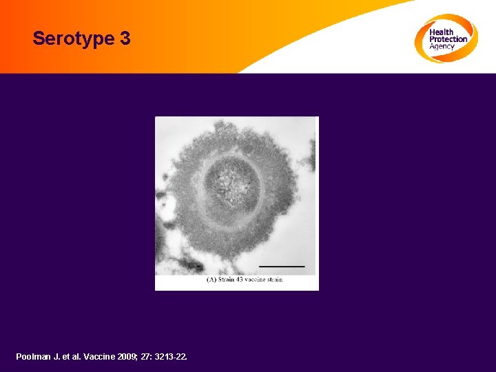 Serotype 3 Poolman J. et al. Vaccine 2009; 27: 3213 -22. 