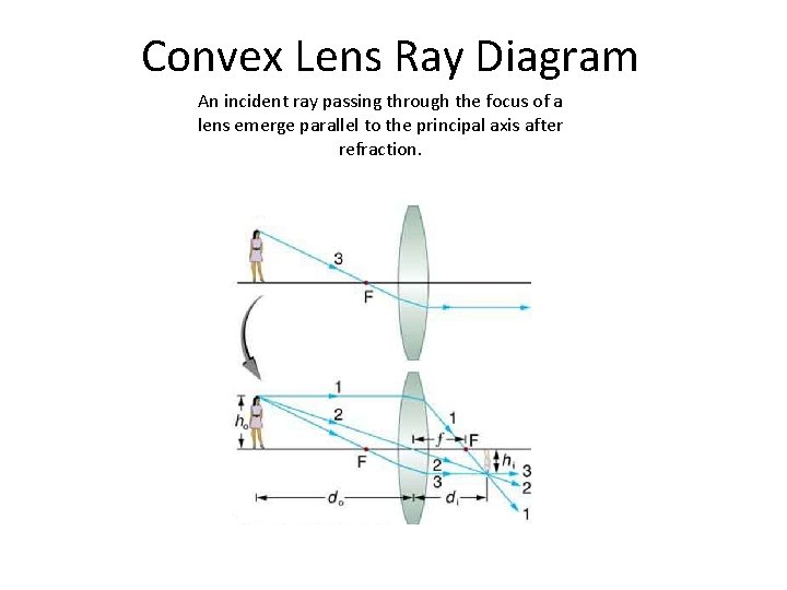 Convex Lens Ray Diagram An incident ray passing through the focus of a lens