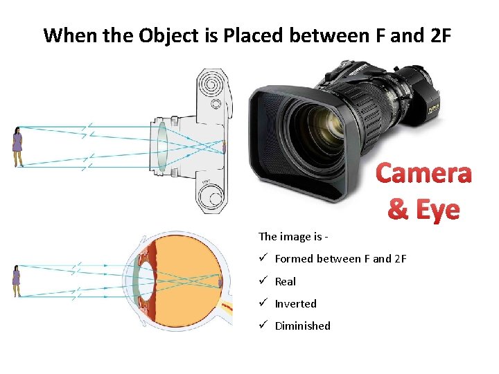 When the Object is Placed between F and 2 F Camera & Eye The