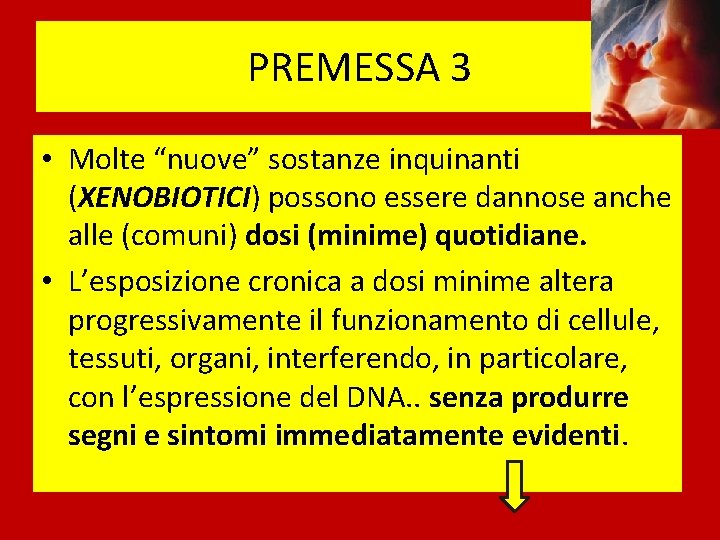 PREMESSA 3 • Molte “nuove” sostanze inquinanti (XENOBIOTICI) possono essere dannose anche alle (comuni)
