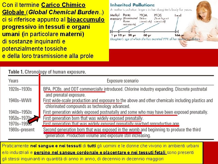 Con il termine Carico Chimico Globale (Global Chemical Burden. . ) ci si riferisce