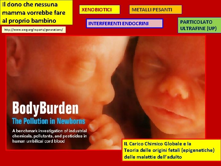 Il dono che nessuna mamma vorrebbe fare al proprio bambino http: //www. ewg. org/reports/generations/