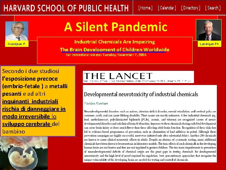 A Silent Pandemic Grandjean P. Industrial Chemicals Are Impairing The Brain Development of Children