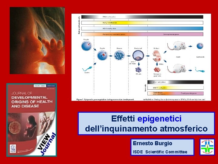 Effetti epigenetici dell’inquinamento atmosferico Ernesto Burgio ISDE Scientific Committee 