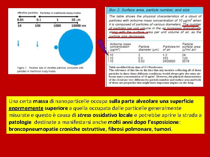 Una certa massa di nanoparticelle occupa sulla parte alveolare una superficie enormemente superiore a