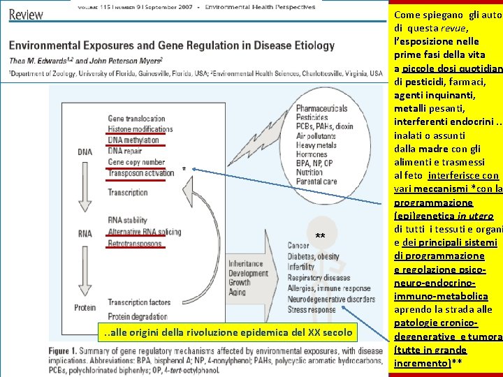 * ** . . alle origini della rivoluzione epidemica del XX secolo Come spiegano