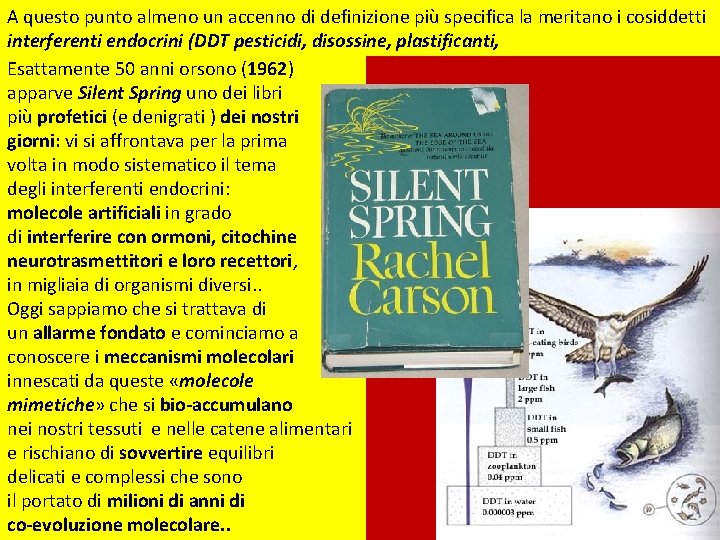 A questo punto almeno un accenno di definizione più specifica la meritano i cosiddetti