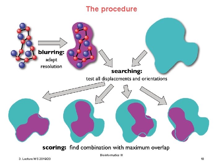 The procedure Bioinformatics III 3. Lecture WS 2019/20 18 