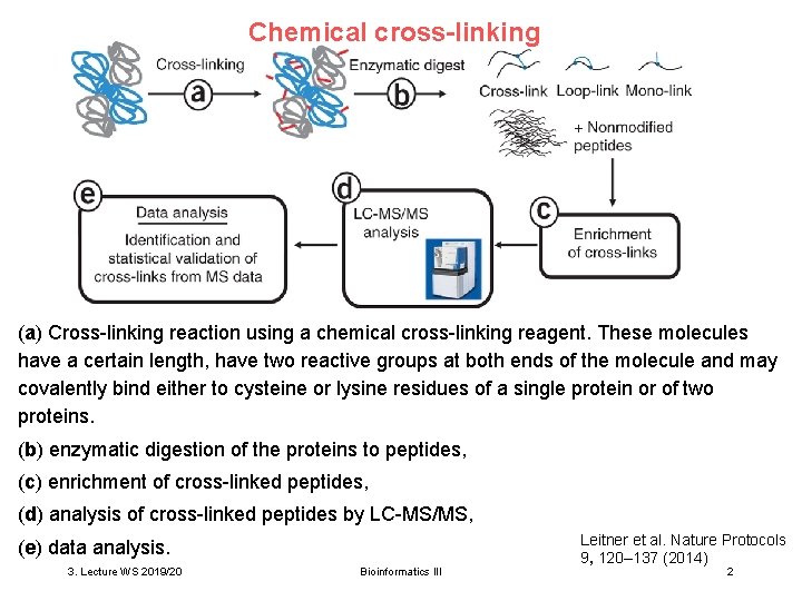 Chemical cross-linking (a) Cross-linking reaction using a chemical cross-linking reagent. These molecules have a